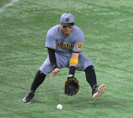 　３回、山崎がバントした打球を処理する三塁手・佐藤輝（撮影・伊藤笙子）