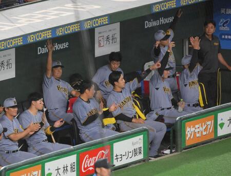 　４回、リプレー検証の結果、生還が認められ喜ぶ小幡（中央）ら阪神ベンチ（撮影・伊藤笙子）