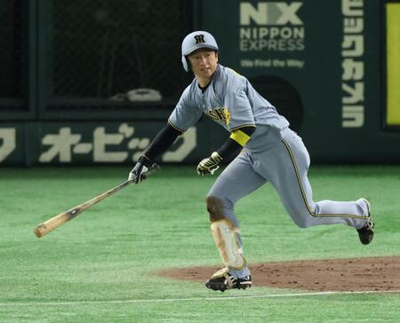 　４回、左前に２点適時打を放つ近本（撮影・金田祐二）