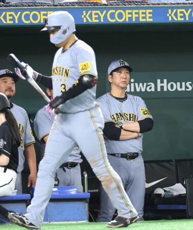 　９回、ベンチから戦況を見る藤川監督（右）＝撮影・西岡正