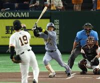 　１回、左前打を放つ近本（撮影・金田祐二）