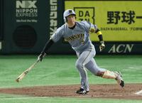 　４回、左前に２点適時打を放つ近本（撮影・金田祐二）