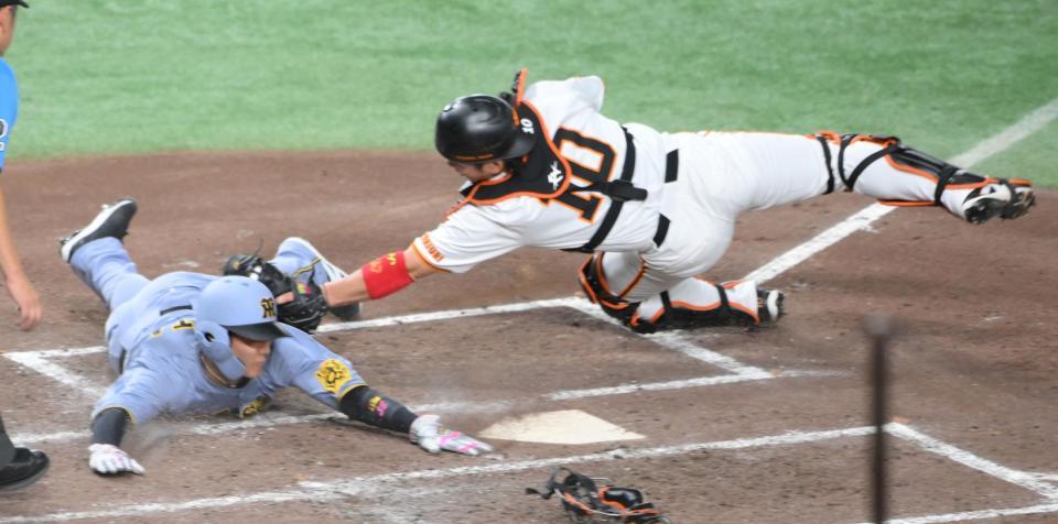 　４回、近本の左前打で二塁から生還する小幡。右は捕手・甲斐（撮影・伊藤笙子）