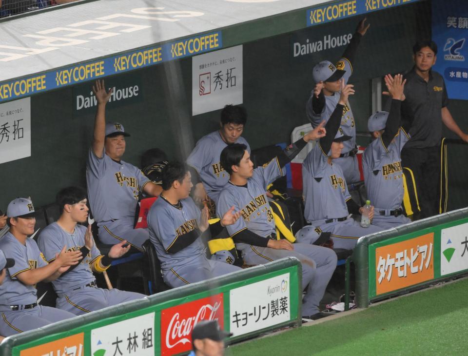 　４回、リプレー検証の結果、生還が認められ喜ぶ小幡（中央）ら阪神ベンチ（撮影・伊藤笙子）