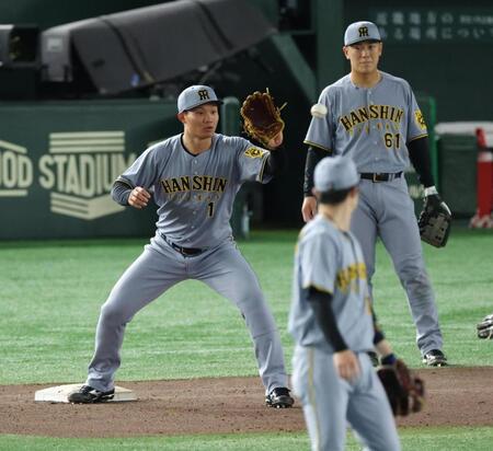 　シートノックで一塁でボールを受ける森下（撮影・金田祐二）