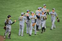 　完封勝利を収め、ハイタッチする阪神ナイン（撮影・伊藤笙子）