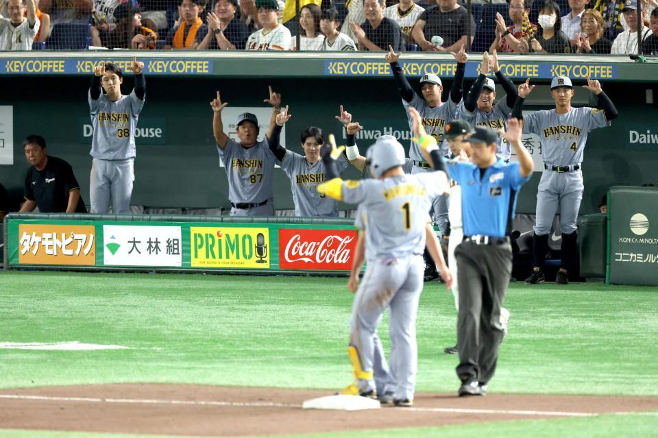 　７回、森下の適時三塁打で盛り上がる阪神ベンチ（撮影・金田祐二）