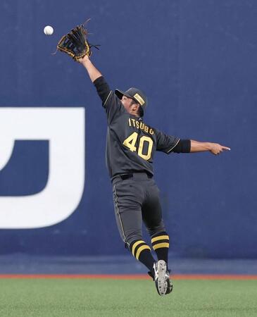 　１回、岡林の安打を捕球する井坪（撮影・北村雅宏）