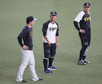 阪神タイガース　レプリカユニフォーム　井坪陽生 阪神 タイガース 井坪陽生 ネーム 白 応援 刺繍 ワッペン