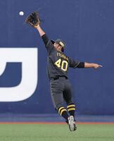 　１回、岡林の安打を捕球する井坪（撮影・北村雅宏）