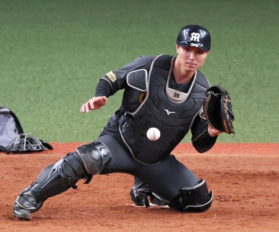 　シートノックで送球を受ける栄枝（撮影・立川洋一郎）