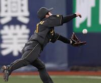 　５回、チェイビスの打球を好捕する中野（撮影・田中太一）