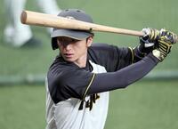 　打撃練習をする近本（撮影・田中太一）