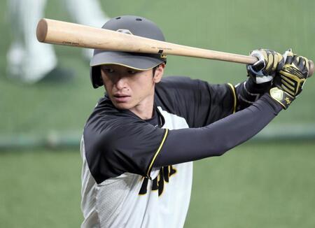 　打撃練習をする近本（撮影・田中太一）