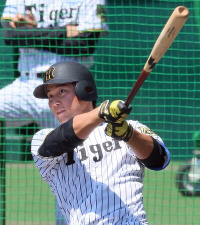 阪神・井坪　思い出の神宮で打つ　甲子園の夢絶たれた地「負けた場所なんで」悔しさ晴らす