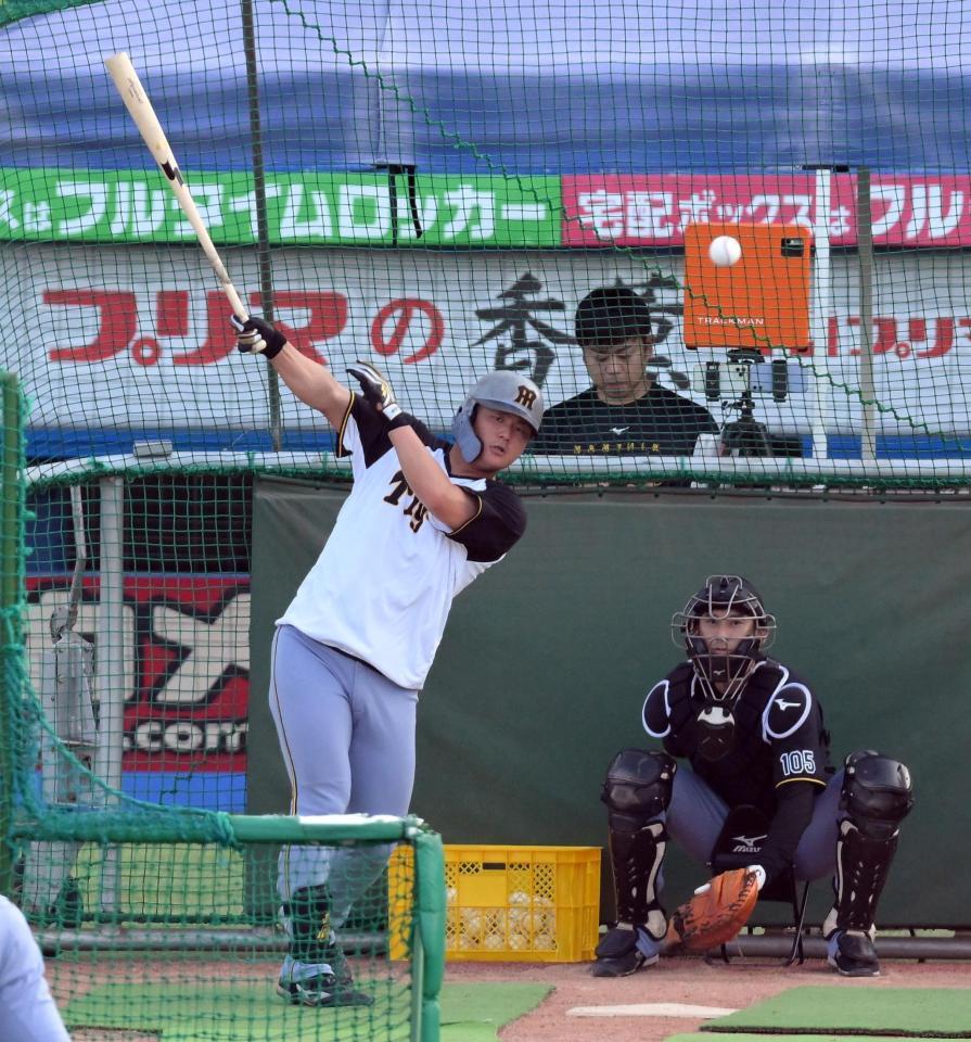 　一番最後に打撃練習を行う前川（撮影・伊藤笙子）