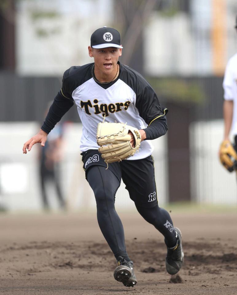 　守備練習で打球を追う早川（撮影・北村雅宏）