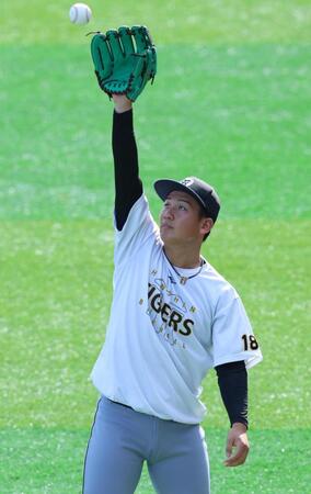 　調整する伊原（撮影・金田祐二）