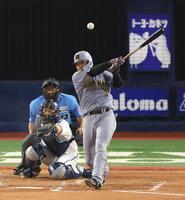 ４回、先制適時二塁打を放つ大山（撮影・金田祐二）