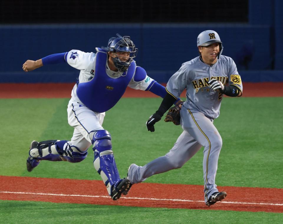 　２回、伊原がスクイズを外され、飛び出した梅野がタッチアウト（撮影・金田祐二）