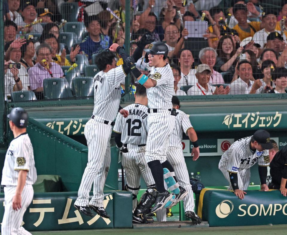 　８回、２者連続となるソロアーチを放ち、ベンチ前で森下（中央左）とタッチを交わす佐藤輝（撮影・立川洋一郎）