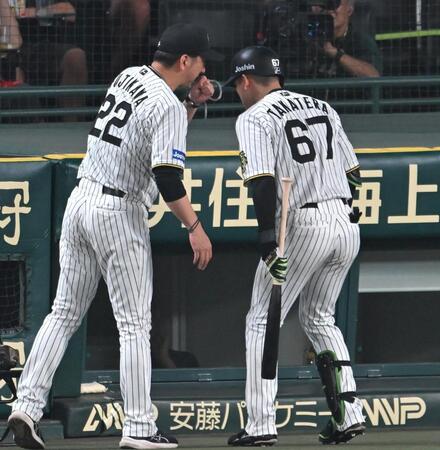 勝った後とは思えない阪神・藤川監督「お子ちゃまレベル」「逃げてんじゃない」