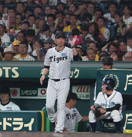 　７回攻撃中、選手交代を告げる藤川監督（撮影・北村雅宏）