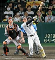 　８回、左翼スタンドへソロを放つ森下（撮影・立川洋一郎）