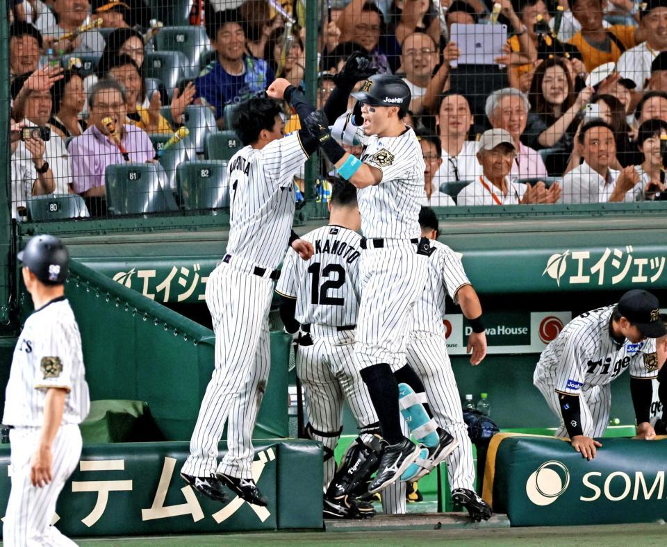 　８回、森下（左）とアベック弾を放ち、ベンチ前でタッチを交わす佐藤輝（撮影・立川洋一郎）