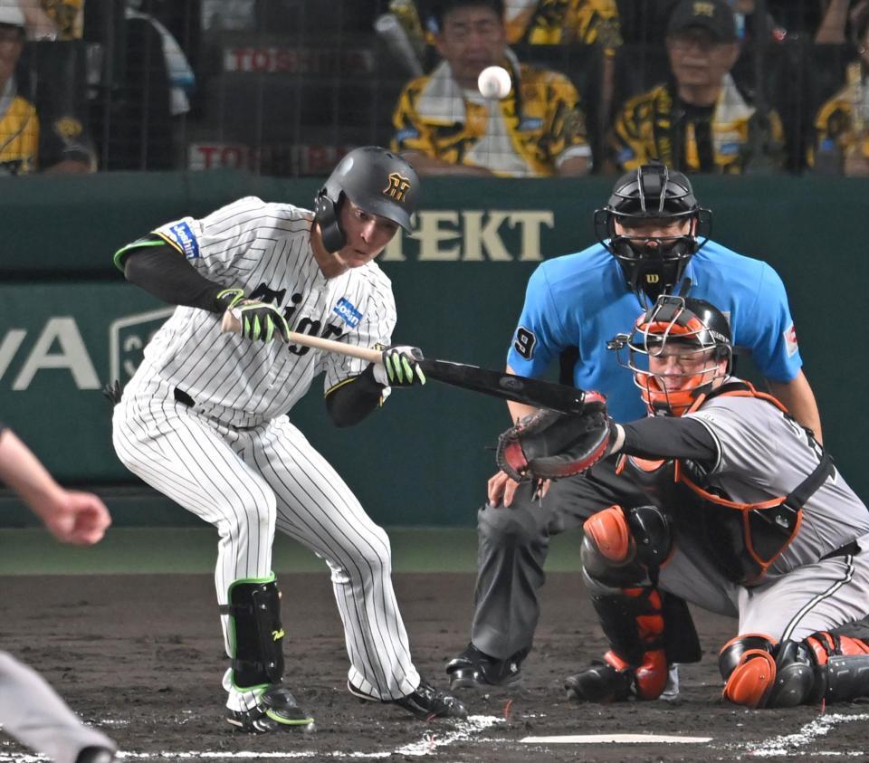 　６回、送りバントを失敗する高寺（撮影・飯室逸平）