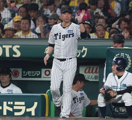 阪神優勝マジック9 藤川監督「叱咤できるような声援もぜひ。まだまだひよっ子な選手たちがいますから」一問一答