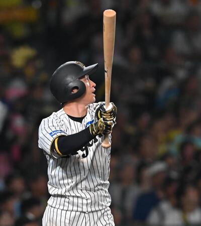 　５回、左飛に倒れる近本（撮影・西田忠信）