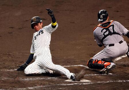 　３回、近本は森下の左前打で生還する（撮影・山口登）