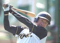 　打撃練習する近本（撮影・北村雅宏）