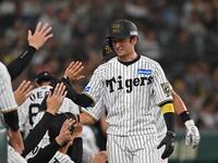 　７回、中野の２点二塁打で生還した近本（撮影・西田忠信）