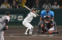 　３回、四球を選ぶ近本（撮影・飯室逸平）