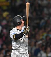 　５回、左飛に倒れる近本（撮影・西田忠信）