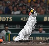 　３回、森下の先制適時打で生還する近本（撮影・西田忠信）