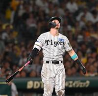 　７回、右翼への飛球を見つめる佐藤輝（撮影・西田忠信）