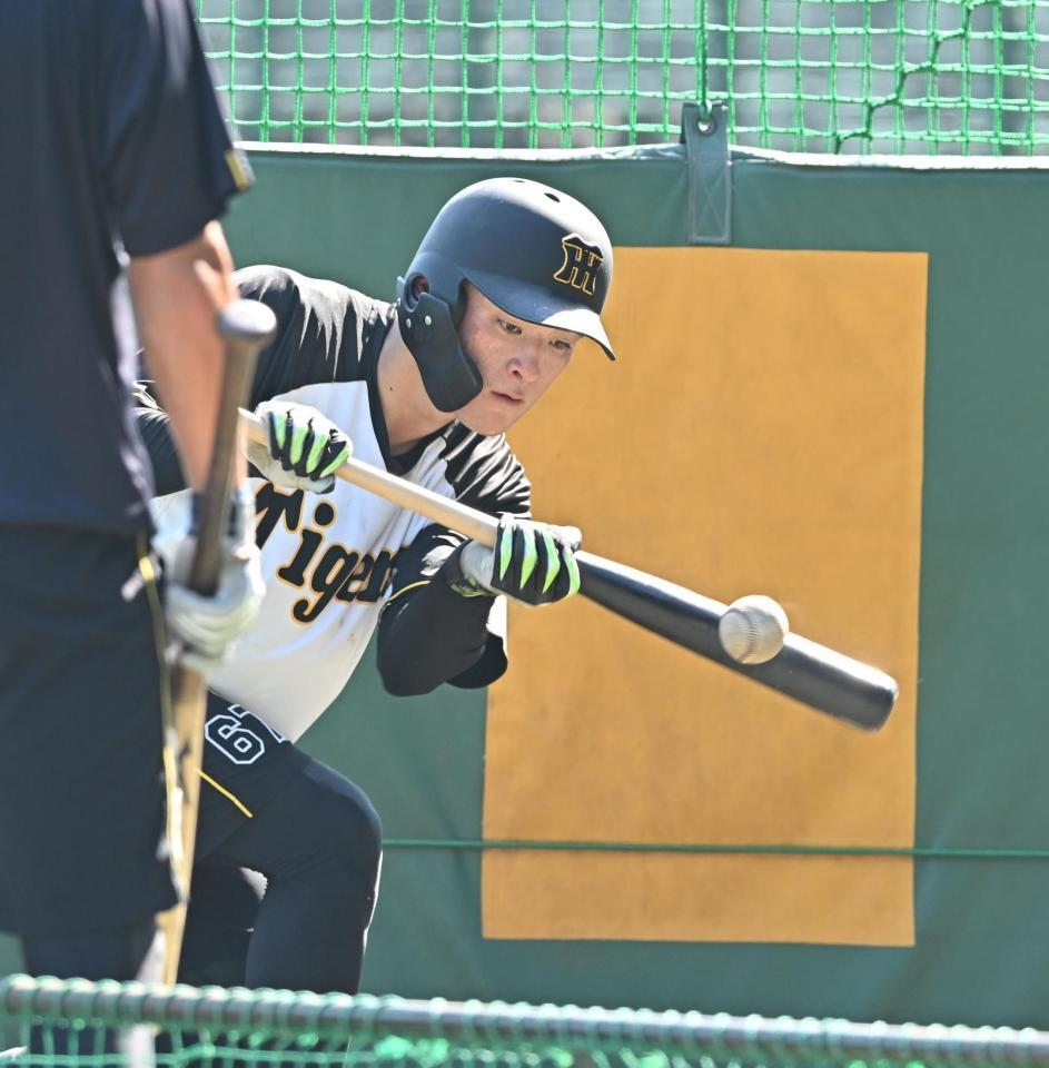 　バント練習する高寺（撮影・西田忠信）