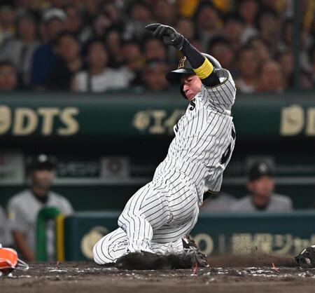 　３回、森下の先制適時打で生還する近本（撮影・西田忠信）