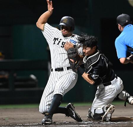 ６回、井坪の左前打で本塁を狙うもアウトになるヘルナンデス（左）＝撮影・西田忠信