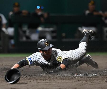 ５回、福島の打球で本塁を狙うもアウトになる井坪（撮影・西田忠信）