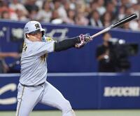 　７回、右犠飛を放つ大山（撮影・北村雅宏）