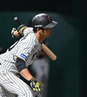 　７回、猛打賞となる中前打を放つ井坪（撮影・西田忠信）