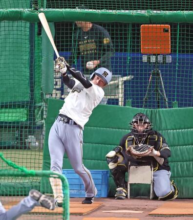 　フリー打撃をする近本（撮影・立川洋一郎）