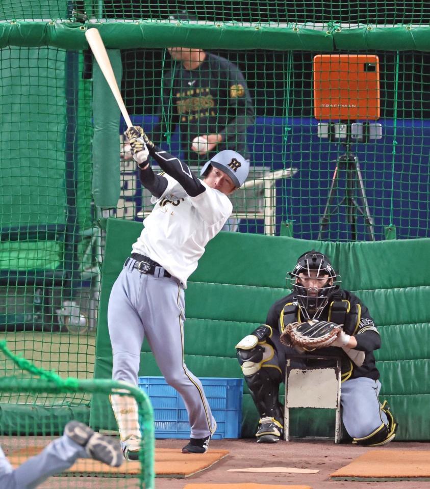 　フリー打撃をする近本（撮影・立川洋一郎）