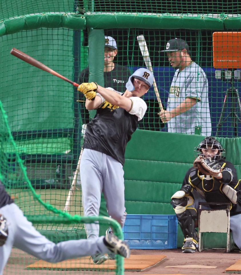 　フリー打撃をする佐藤輝（撮影・立川洋一郎）