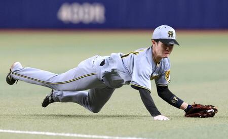 ８回、板山の打球を好捕する中野（撮影・北村雅宏）