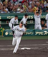 １回、満塁本塁打を放ちダイヤモンドを回る大山（撮影・立川洋一郎）